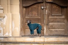FLEX COTTON SUIT – overal pro psy
