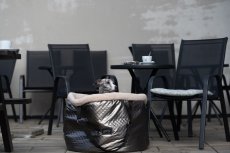 Cestovní taška pro psy – Chrom Edition