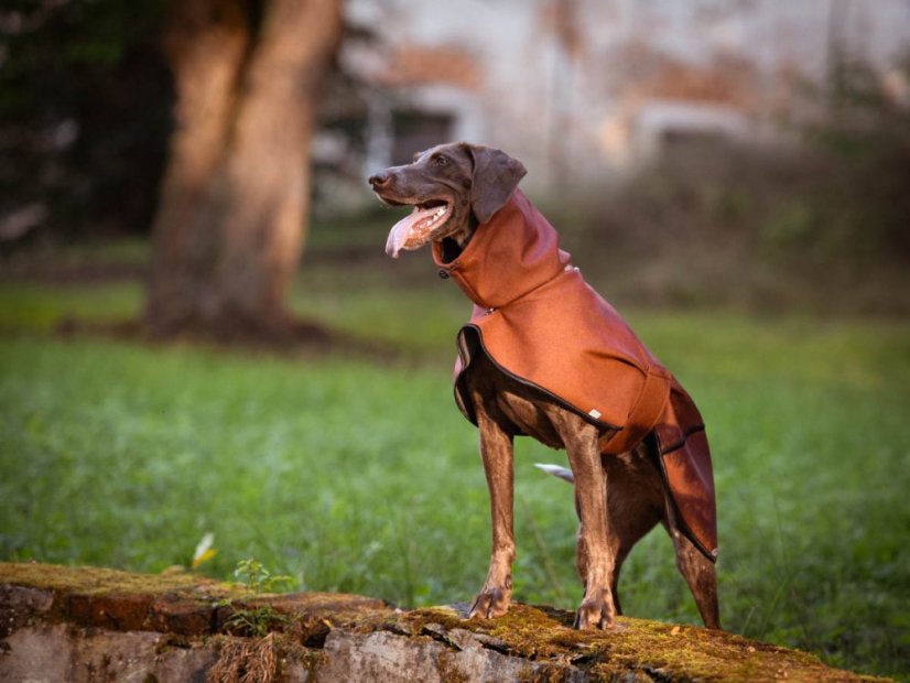 Raincoat dogwear SOFT MUSHING