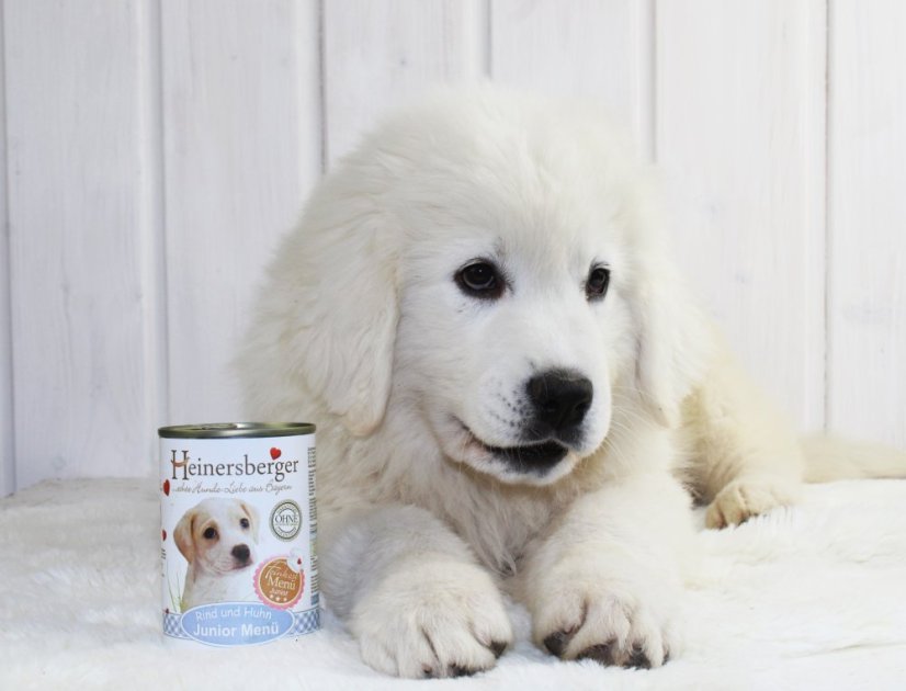 Heinersberger Junior menu masová konzerva 400g