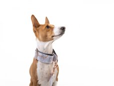 Obojok sivý z nepremokavej tkaniny