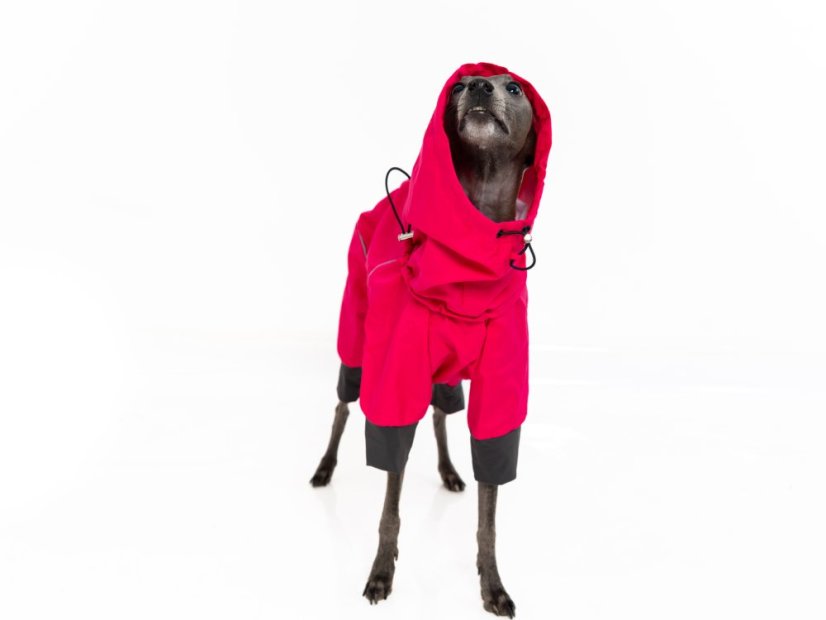 TeryRain Shell – lehoučká nepromokavá pláštěnka pro psy