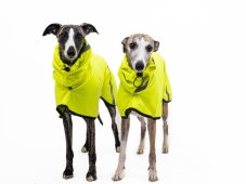 Outdoor Aqua waterproof raincoat not lined