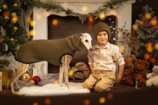 Unisex cap with greyhound embroidery