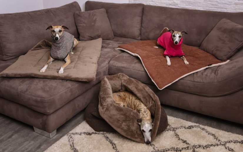 COMFORT Snuggle Sack for Dogs