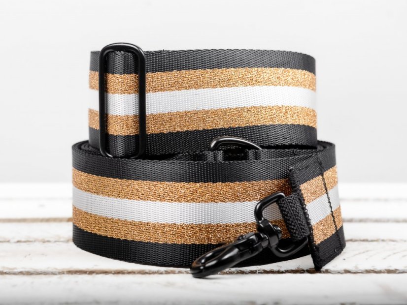 Collar with gold reflective strap