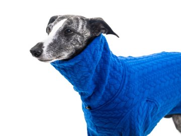 Pán a pes: když styl hřeje a funkce dává smysl