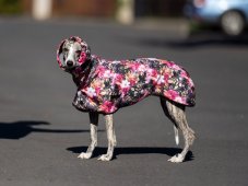 BLOOM ART RAINCOAT – lightweight softshell raincoat for dogs