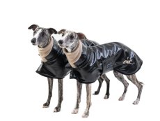 Elegantní sportovní bunda pro psa – odolná a hřejivá ochrana