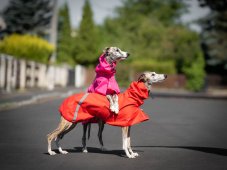 Pláštenka pre psov – RED, veľ. M1