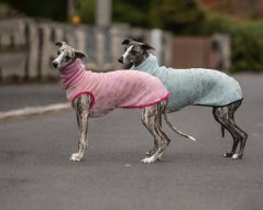 Warmkeeper Love Edition – Rainbow Hearts