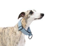 Faux Leather Martingale Collar - LIGHT BLUE