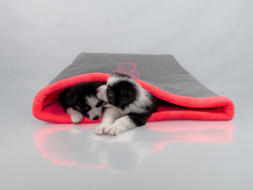 COMFORT Tulivak pro psy Paws