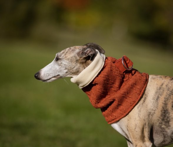 Scarf for dogs with fleece