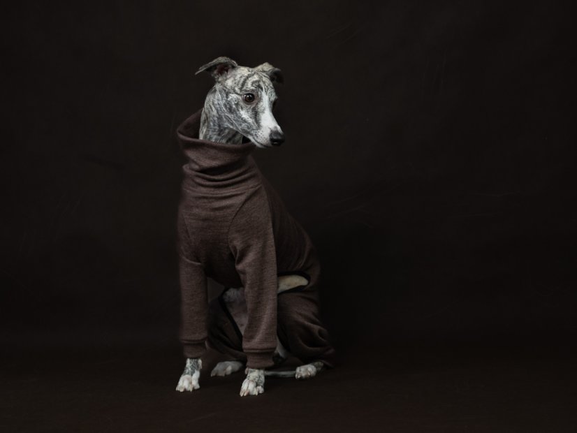 Merino overal pro psy – 100% MERINO | MUST HAVE 2026