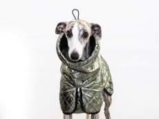 THERMOCOAT CHROMA KHAKI– zimná bunda pre psa