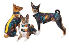 Basenji light RAIN COVER
