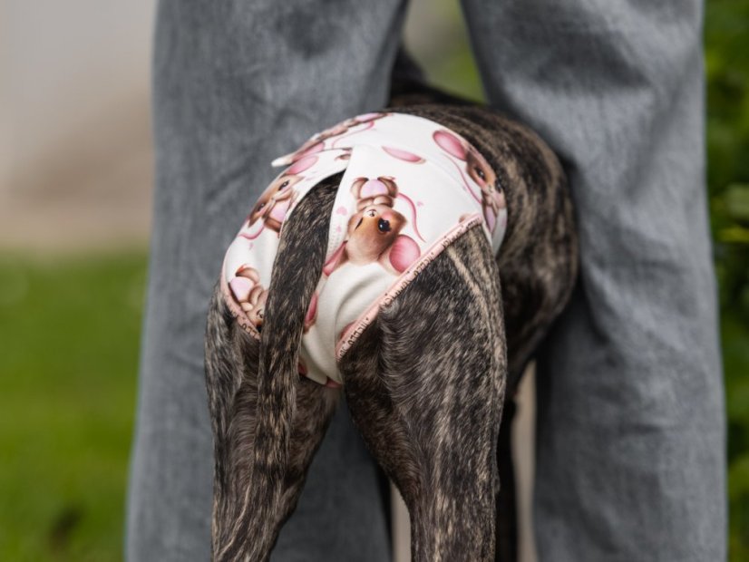 Hárací kalhotky pro psy