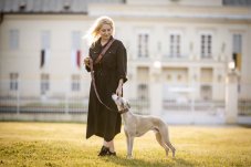 Sada INDY obojok s vodítkom 2m