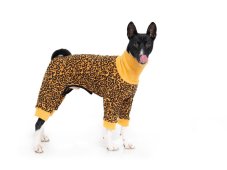 Africa Warmkeeper – overall for tail-up dogs