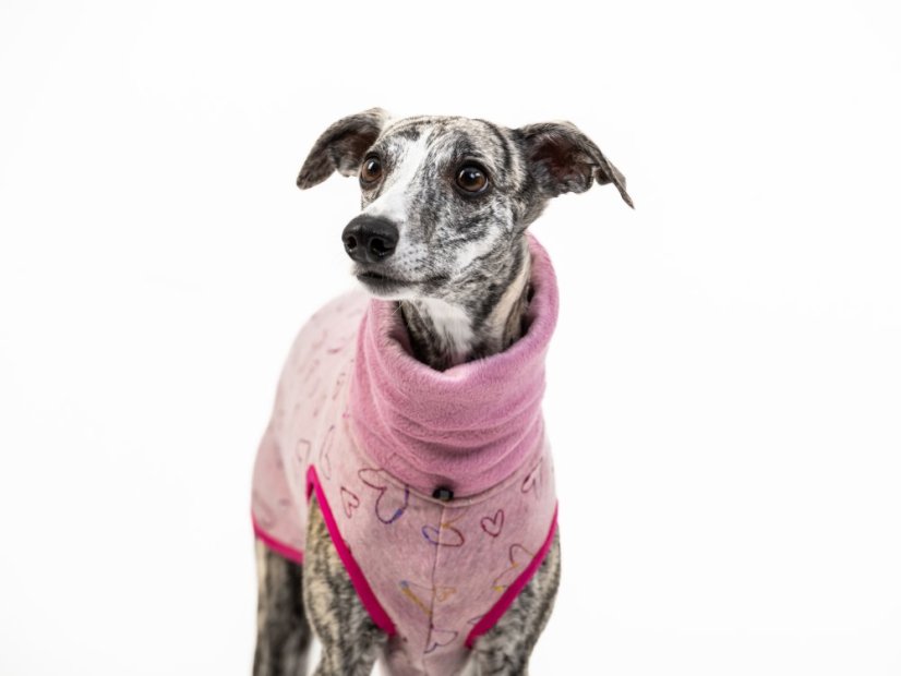 Warmkeeper Love Edition – duhová srdíčka