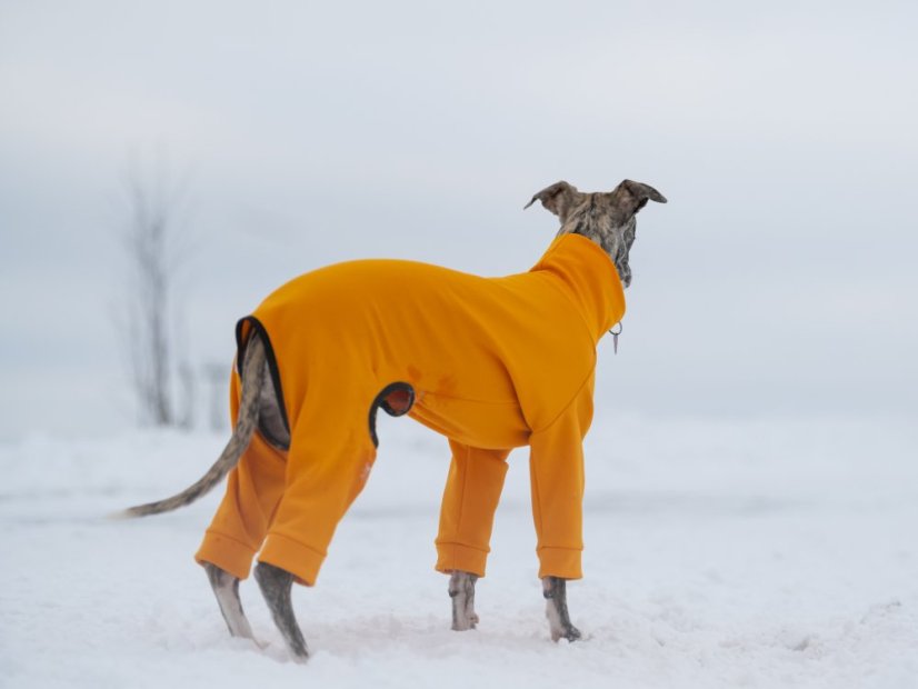 ZARYA ThermoFlex | sportovní funkční overal pro psy