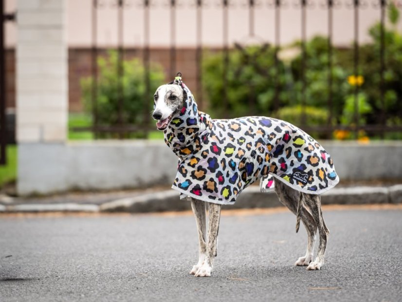 Ultralehká pláštěnka pro psy – RAIN TO GO Leopard Pop
