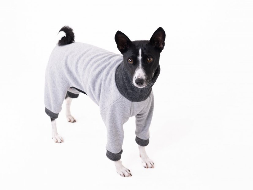 Basenji  warmkeeper OVERAL