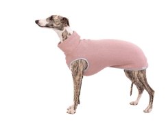Greyhound Sport Set „Urban Elegance“ SM