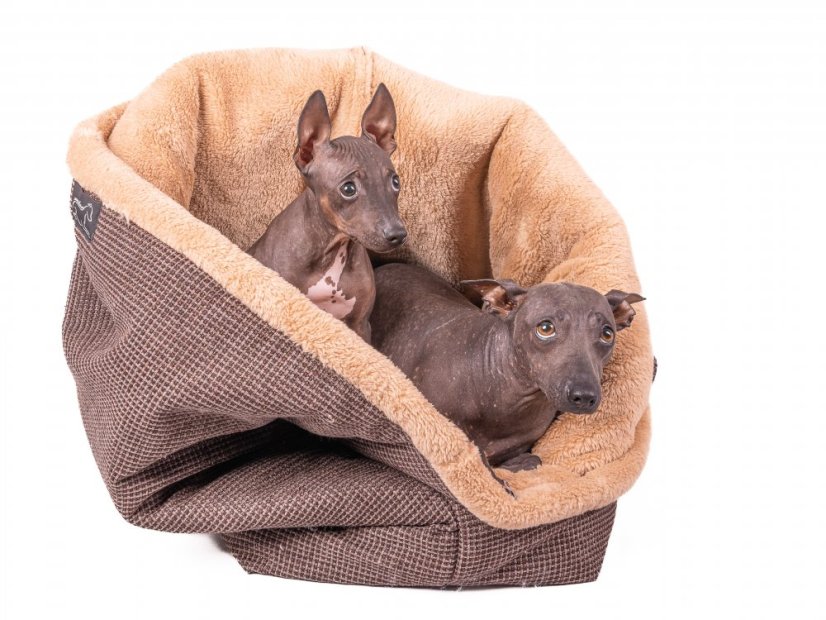 COMFORT Snuggle Sack for Dogs