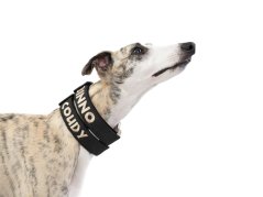 Personalized Outdoor Dog Collar with Metal Buckle and Name Embroidery
