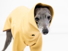 Nobby sweatshirt with neoprene pants