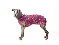 Warm Dog Hoodie – HEART BLOOM