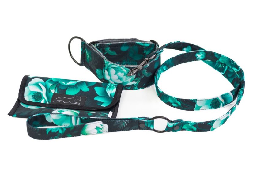 GREEN PREMIUM SET – Luxusní sada pro psa: obojek, vodítko a obal na očkovací průkaz
