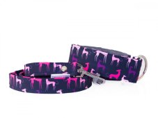 Obojok ROSE CHRT s vodítkom 1,10m