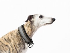 KHAKI NEOPRENE COLLAR lined with soft fabric with reflective strap