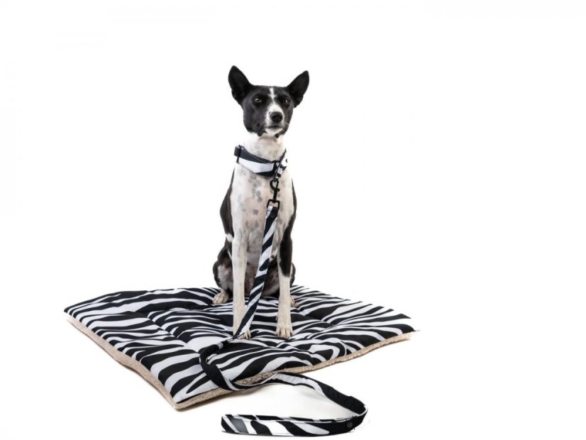 Deka ZEBRA