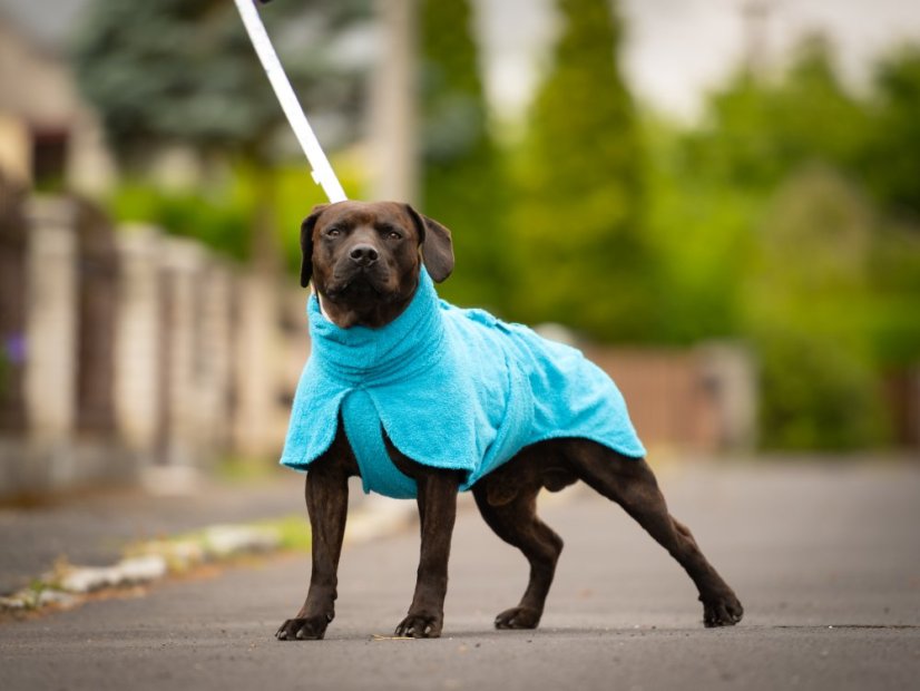 Župan pro psy z bavlněné froté – savý, měkký a pohodlný