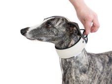 VYPÚŠŤACÍ OBOJOK