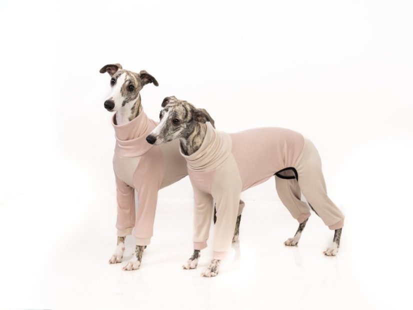 BambooCare Pyžámko ZARYA – bambusový overal pro psy pro dokonalou domácí pohodu