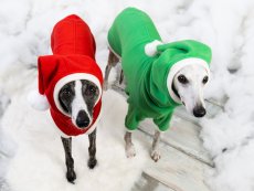 Vánoční FLEECOVÁ MIKINA