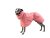 Dog raincoat ROSEMARY