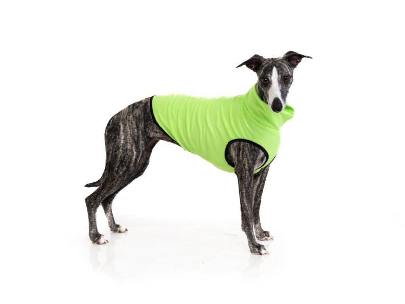 Neon Signal – rozlišovací triko pro psy
