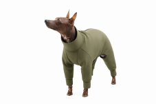 Neoprénový overal pre psov s chvostíkom nahor – MAXIMÁLNA ochrana a pohodlie