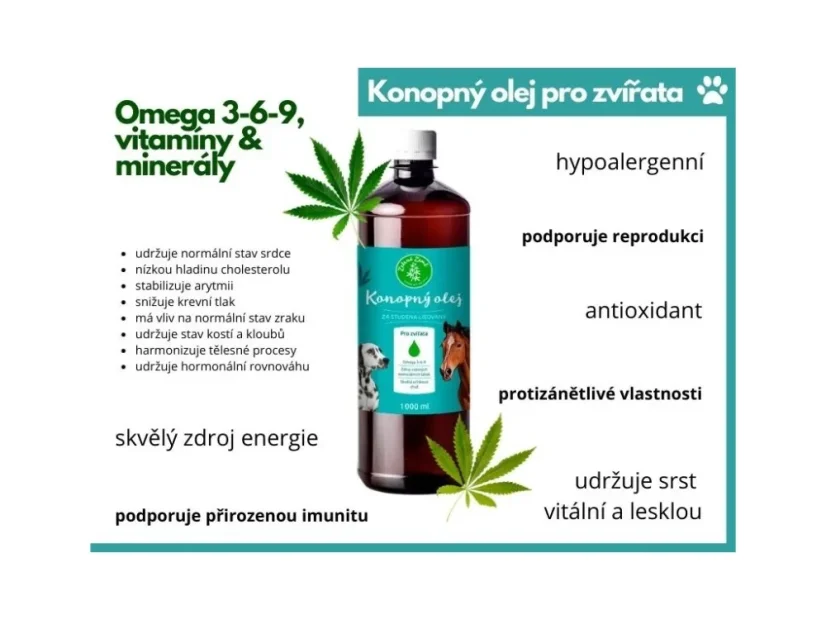 Konopný olej pro psy – 100% přírodní péče o zdraví a vitalitu