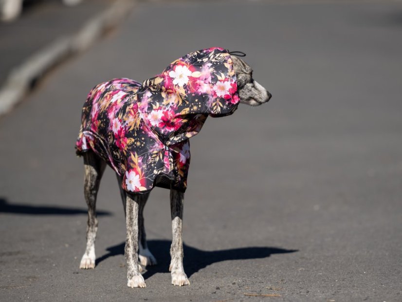 BLOOM ART RAINCOAT – lehká softshellová pláštěnka pro psy