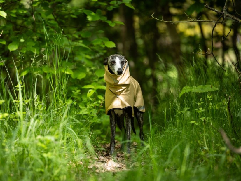 URBAN RAINCOAT – 100% nepromokavá pláštěnka pro psy