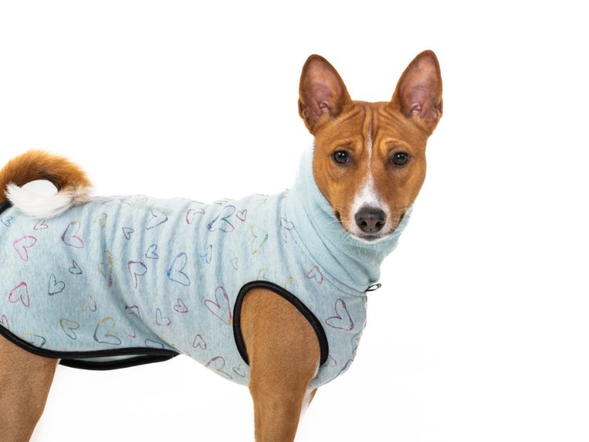 Warmkeeper Love Edition – pro psy s ocáskem nahoru