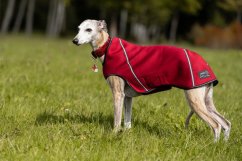 Coat for dogs Nite Neonpren