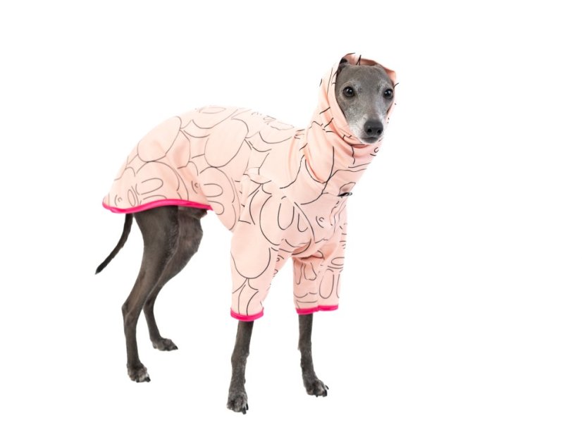 Pyžamo MINNIE pro psy